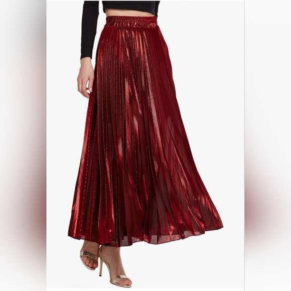Chartou Women's Metallic Shiny Shimmer Accordion Pleated Maxi Skirt ✨️ NWT - Picture 1 of 7